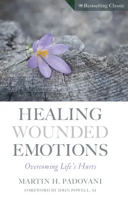 Liečenie zranených emócií: Prekonávanie životných bolestí - Healing Wounded Emotions: Overcoming Life's Hurts