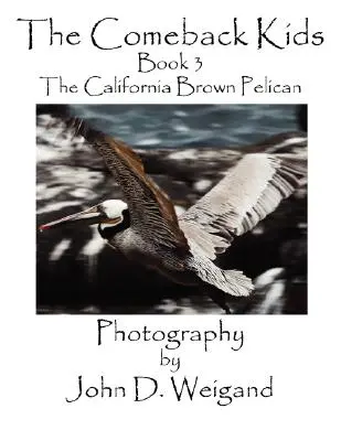 The Comeback Kids, kniha 3, kalifornský pelikán hnedý - The Comeback Kids, Book 3, the California Brown Pelican