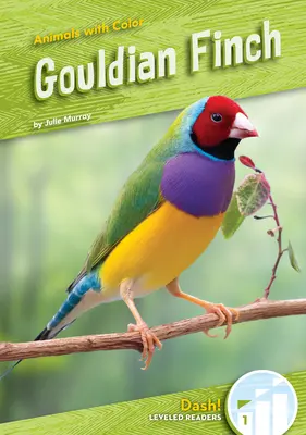 Gouldský plemeník - Gouldian Finch