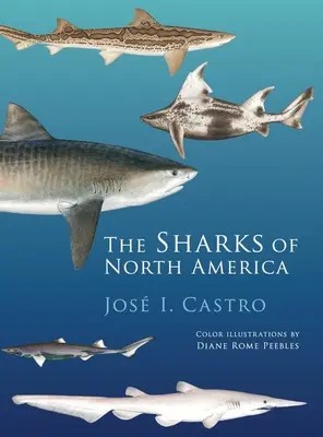 Žraloky Severnej Ameriky - Sharks of North America