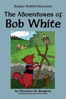 Dobrodružstvá Boba Bieleho - The Adventures of Bob White