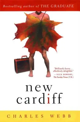 Nový Cardiff - New Cardiff