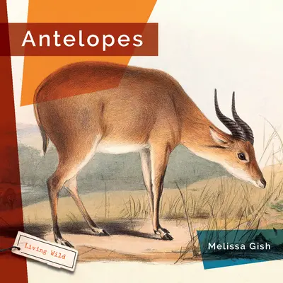 Antilopy - Antelopes
