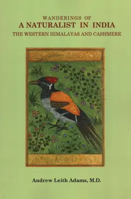 Potulky prírodovedca po Indii, západných Himalájach a Kašmíre - Wanderings of a Naturalist in India, the Western Himalayas and Cashmere
