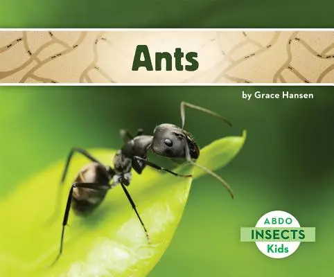 Mravce - Ants