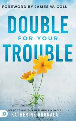 Dvojnásobok za vaše problémy: Dovoľte Bohu, aby premenil váš neporiadok na zázrak - Double for Your Trouble: Let God Turn Your Mess Into a Miracle