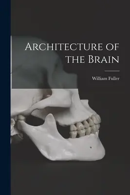 Architektúra mozgu - Architecture of the Brain