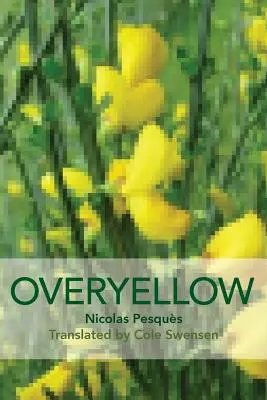 Oveľa žltá: Báseň ako umelecká inštalácia - Overyellow: The Poem as Installation Art