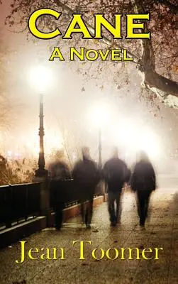 Tŕstie román - Cane A Novel