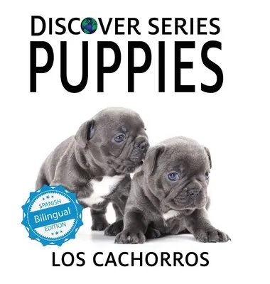 Šteňatá / Los cachorros - Puppies / Los cachorros