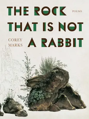 Skala, ktorá nie je králik: básne - The Rock That Is Not a Rabbit: Poems