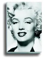 Strieborná Marilyn - Marilyn a kamera - Silver Marilyn - Marilyn and the Camera