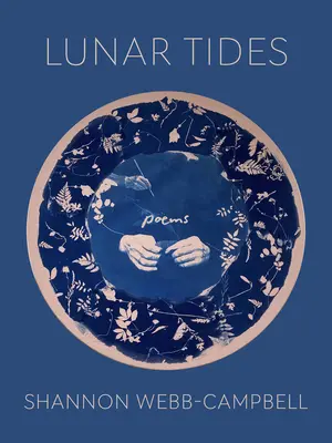 Mesačné prílivy a odlivy - Lunar Tides