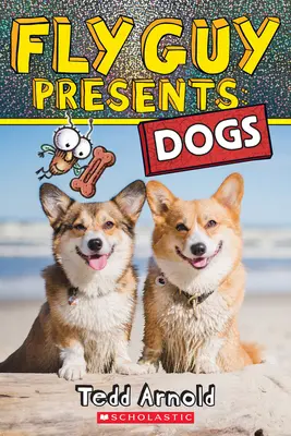 Fly Guy Presents: Počasie (Fly Guy Presents) Psy - Fly Guy Presents: Dogs