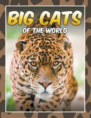 Veľké mačky sveta - Big Cats of the World