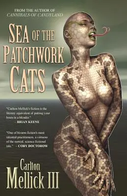 More patchworkových mačiek - Sea of the Patchwork Cats
