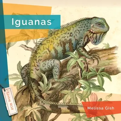Leguány - Iguanas