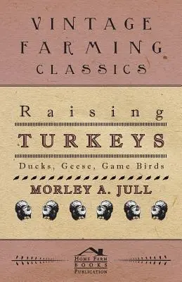 Chov moriek - kačice, husi, pernaté vtáky - Raising Turkeys - Ducks, Geese, Game Birds