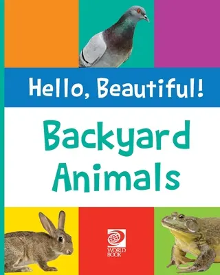 Zvieratá na dvore - Backyard Animals