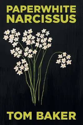Papierový narcis - Paperwhite Narcissus