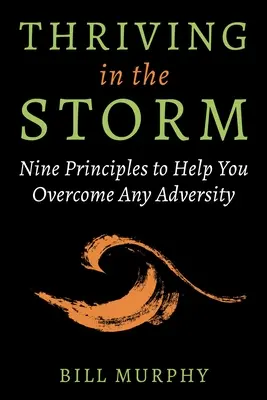 Rozvíjať sa v búrke: Deväť zásad, ktoré vám pomôžu prekonať akúkoľvek nepriazeň osudu - Thriving in the Storm: Nine Principles to Help You Overcome Any Adversity