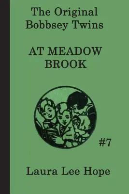 Dvojčatá Bobbseyovci v Meadow Brook - The Bobbsey Twins at Meadow Brook