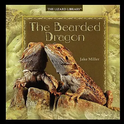 Vousatý drak - Bearded Dragon
