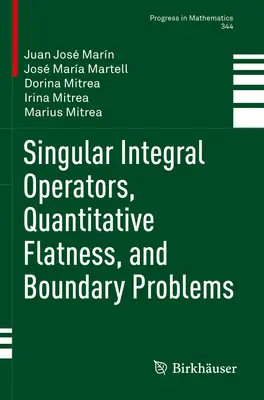 Singulárne integrálne operátory, kvantitatívna plochosť a hraničné problémy - Singular Integral Operators, Quantitative Flatness, and Boundary Problems