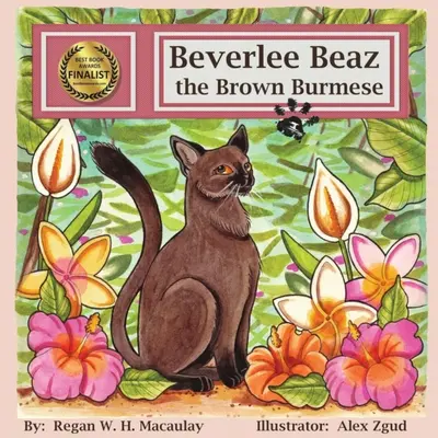 Hnedá barmačka Beverlee Beaz - Beverlee Beaz the Brown Burmese