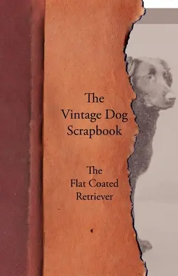 Vintage Dog Scrapbook - Flat Coated Retriever - The Vintage Dog Scrapbook - The Flat Coated Retriever