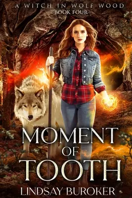 Moment zubu - Moment of Tooth