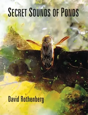 Tajné zvuky rybníkov - Secret Sounds of Ponds