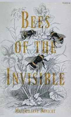 Neviditeľné včely - Bees of the Invisible
