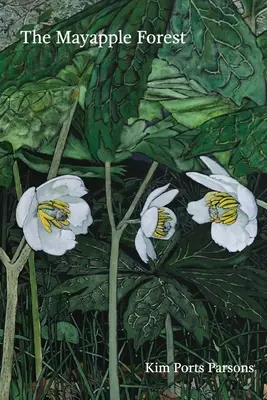 Mayapple Forest (Májový les) - The Mayapple Forest