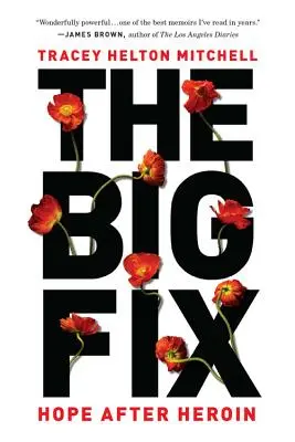 Veľká náprava: nádej po heroíne - The Big Fix: Hope After Heroin