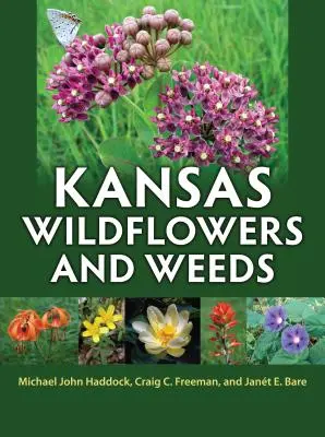 Kansas Wildflowers and Weeds (Kansaské divoké kvety a buriny) - Kansas Wildflowers and Weeds