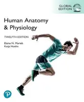 Anatómia a fyziológia človeka, globálne vydanie - Human Anatomy & Physiology, Global Edition