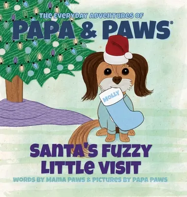 Santova chlpatá návšteva - Santa's Fuzzy Little Visit