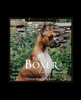 Boxer: obľúbený rodinný pes - The Boxer: Family Favorite