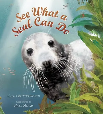 Pozri, čo dokáže tuleň - See What a Seal Can Do