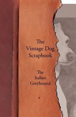 Historický psí album - Taliansky chrt - The Vintage Dog Scrapbook - The Italian Greyhound