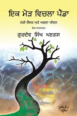 Cesta cez bod zlomu: Vydanie v pandžábčine - Journey Through a Turning Point: Punjabi Edition