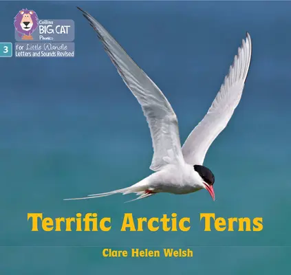 Strašidelné polárne rybáriky - 3. fáza, sada 2 - Terrific Arctic Terns - Phase 3 Set 2