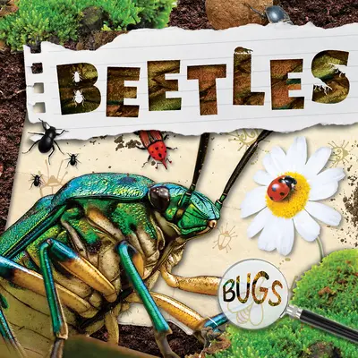 Chrobáky - Beetles