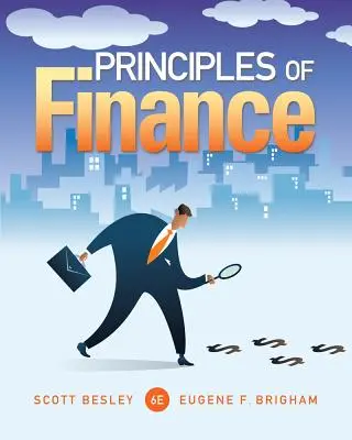 Zásady financovania - Principles of Finance