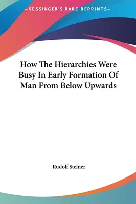 Ako boli hierarchie zaneprázdnené pri ranom formovaní človeka zdola nahor - How The Hierarchies Were Busy In Early Formation Of Man From Below Upwards