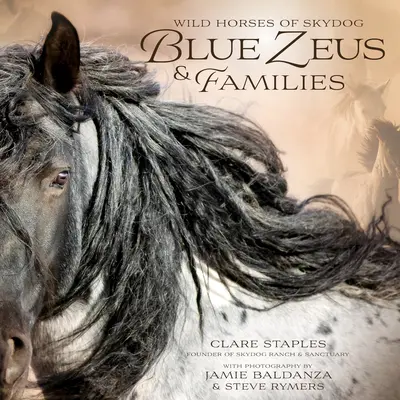 Divoké kone Skydogu: Modrý Zeus a jeho rodiny - Wild Horses of Skydog: Blue Zeus and Families