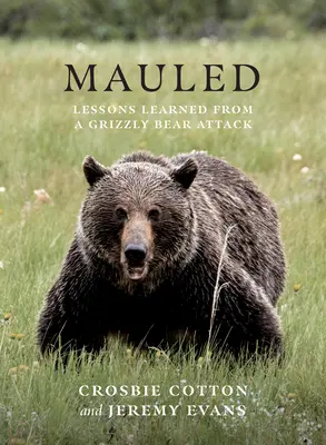 Mauled: Poučenie z útoku medveďa grizlyho - Mauled: Lessons Learned from a Grizzly Bear Attack