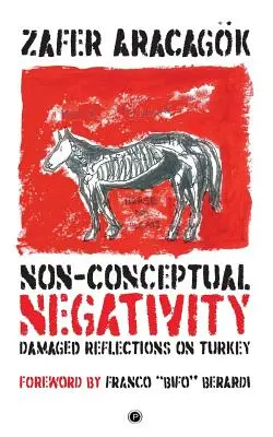 Nekoncepčná negativita: Poškodené úvahy o Turecku - Non-Conceptual Negativity: Damaged Reflections on Turkey