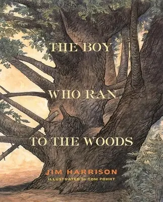 Chlapec, ktorý utekal do lesa - The Boy Who Ran to the Woods